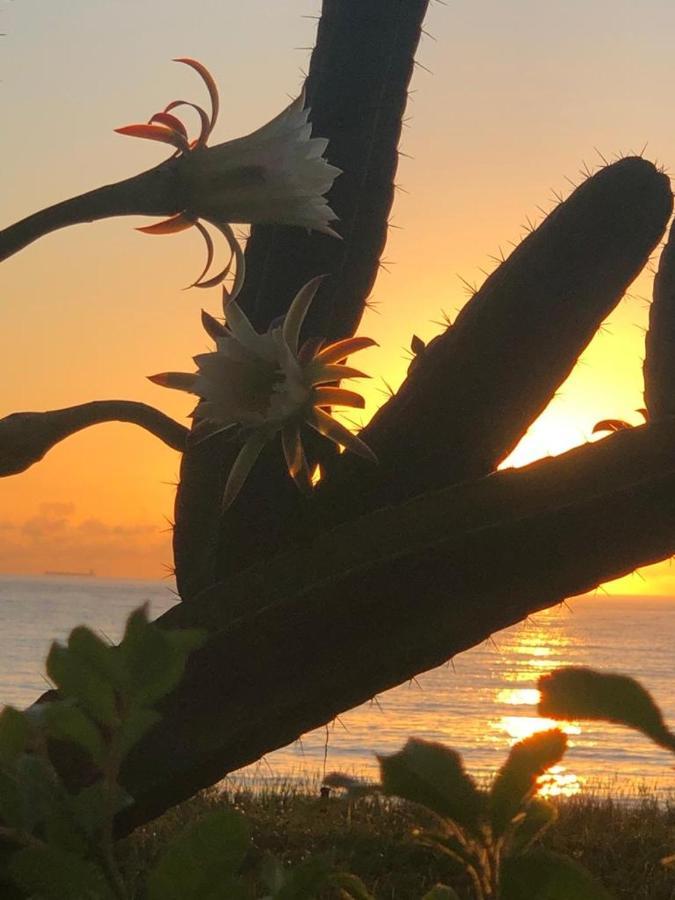 Flat Na Praia Da Costa Vila Velha  Dış mekan fotoğraf